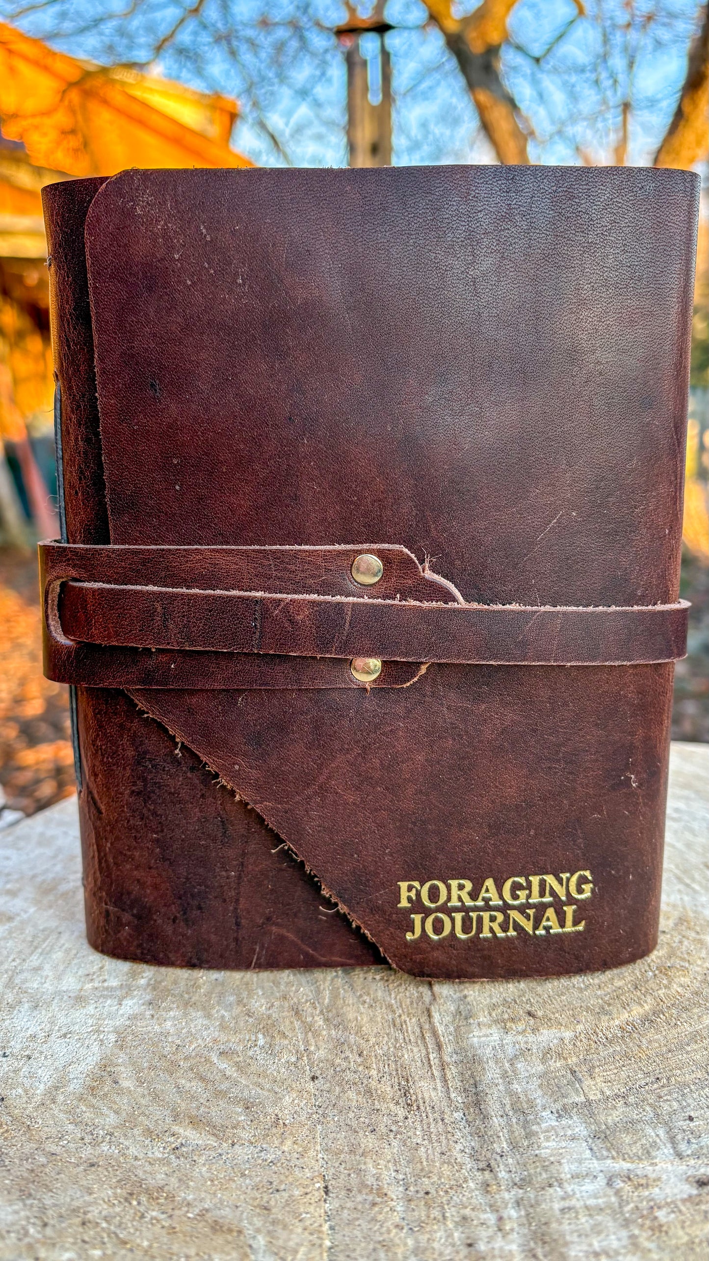 Leather Foraging Journal